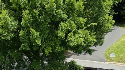 Decorative Copper Photo