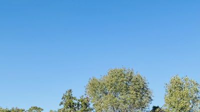 Decorative Copper Photo